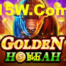 VIP Casino Bkb