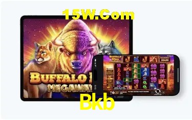 Apostas de Tênis Bkb