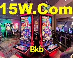 Premium Interface Bkb